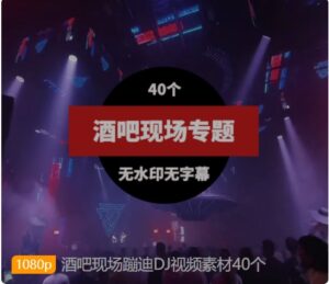 酒吧现场蹦迪DJ视频素材40个-十一网创