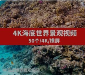 4K海底世界景观视频-十一网创