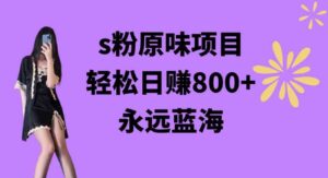 （9072期）s粉原味项目，轻松日赚800+，永远的蓝海项目，无脑操作也能直接出单人…-十一网创