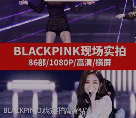 BLACKPINK现场实拍高清视频-十一网创