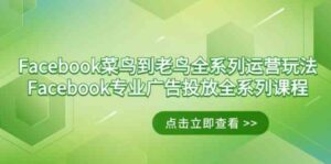 （9065期）Facebook-菜鸟到老鸟全系列运营玩法+Facebook-专业广告投放全系列课程-十一网创