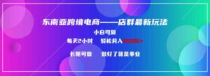 （9060期）东南亚跨境电商店群新玩法2—小白每天两小时轻松10000+-十一网创