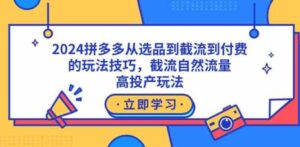 （9037期）2024拼多多从选品到截流到付费的玩法技巧，截流自然流量玩法，高投产玩法-十一网创