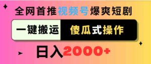 （9121期）视频号爆爽短剧推广，一键搬运，傻瓜式操作，日入2000+-十一网创