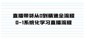 （9105期）直播带货从0到精通全流程，0-1系统化学习直播流程（35节课）-十一网创