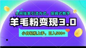 （9116期）羊毛粉变现3.0全网独家引流方式，小白轻松上手，日入500+-十一网创