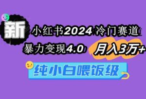 （9134期）小红书2024冷门赛道月入3万+暴力变现4.0纯小白喂饭级-十一网创