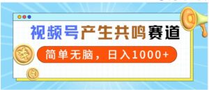 （9133期）2024年视频号，产生共鸣赛道，简单无脑，一分钟一条视频，日入1000+-十一网创