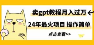 （9180期）24年最火项目，卖gpt教程月入过万，操作简单-十一网创