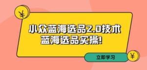 （9189期）拼多多培训第33期：小众蓝海选品2.0技术-蓝海选品实操！-十一网创