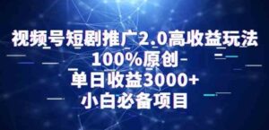 （9236期）视频号短剧推广2.0高收益玩法，100%原创，单日收益3000+，小白必备项目-十一网创