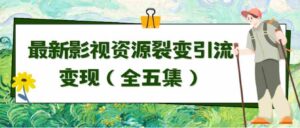 （9252期）利用最新的影视资源裂变引流变现自动引流自动成交（全五集）-十一网创