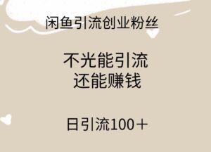 （9290期）闲鱼精准引流创业粉丝，日引流100＋，引流过程还能赚钱-十一网创