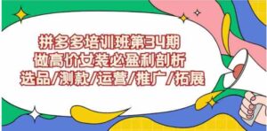 （9333期）拼多多培训班第34期：做高价女装必盈利剖析选品/测款/运营/推广/拓展-十一网创