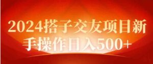 （9345期）2024同城交友项目新手操作日入500+-十一网创