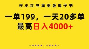 （9401期）在小红书卖绝版电子书，一单199一天最多搞20多单，最高日入4000+教程+资料-十一网创