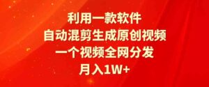 （9472期）利用一款软件，自动混剪生成原创视频，一个视频全网分发，月入1W+附软件-十一网创