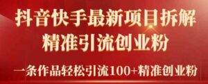 （9447期）2024年抖音快手最新项目拆解视频引流创业粉，一天轻松引流精准创业粉100+-十一网创