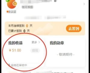 批改作业小兼职，8元一小时？3小时50+【亲测苦力】-十一网创