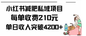 （9466期）小红书减肥私域项目每单收费210元单日成交20单，最高日入4200+-十一网创