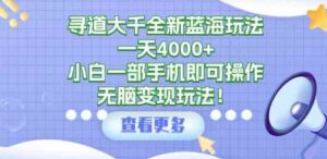 （9479期）寻道大千全新蓝海玩法，一天4000+，小白一部手机即可操作，无脑变现玩法！-十一网创