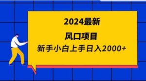 （9483期）2024最新风口项目新手小白日入2000+-十一网创