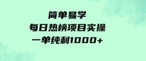 （9519期）简单易学，每日热榜项目实操，一单纯利1000+-十一网创