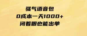 （9517期）骚气语音包，0成本一天1000+闭着眼也能出单-十一网创