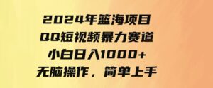 9532期）2024年篮海项目，QQ短视频暴力赛道，小白日入1000+，无脑操作，简单上手。-十一网创