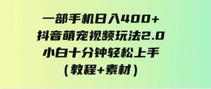 （9540期）一部手机日入400+，抖音萌宠视频玩法2.0，小白十分钟轻松上手（教程+素材）-十一网创