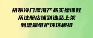 （9527期）拼系冷门蓝海产品实操课程，从注册店铺到选品上架到流量维护环环相扣-十一网创