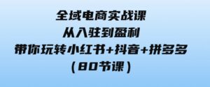 （9529期）全域电商实战课：从入驻到盈利，带你玩转小红书+抖音+拼多多（80节课）-十一网创