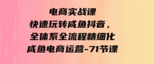 （9528期）电商实战课，快速玩转咸鱼抖音，全体系全流程精细化咸鱼电商运营-71节课-十一网创