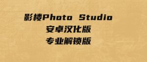 影楼PhotoStudio安卓汉化版–专业解锁版-十一网创