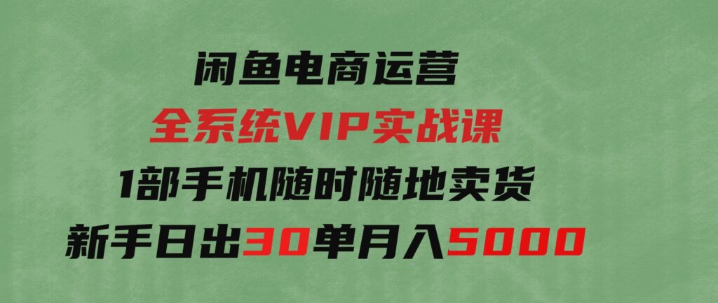 （9547期）闲鱼电商运营全系统VIP实战课，1部手机随时随地卖货，新手日出30单月入5000-十一网创