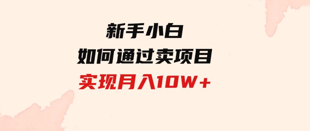 （9556期）新手小白如何通过卖项目实现月入10W+-十一网创