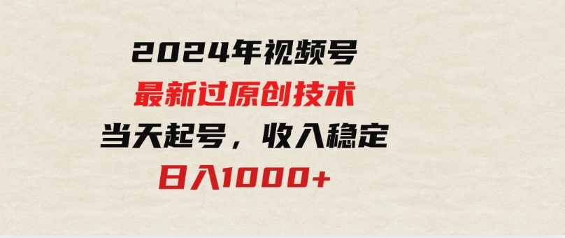 （9565期）2024年视频号最新过原创技术，当天起号，收入稳定，日入1000+-十一网创