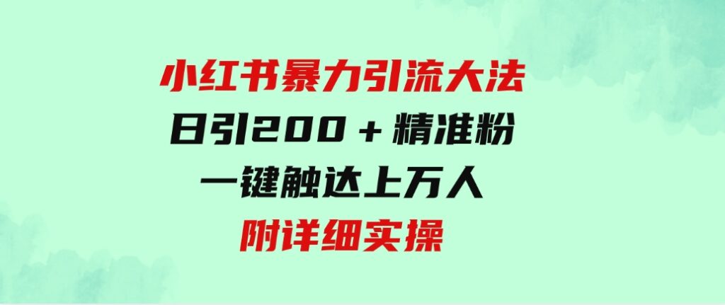 （9582期）小红书暴力引流大法，日引200＋精准粉，一键触达上万人，附详细实操-十一网创