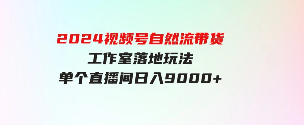 （9709期）【蓝海项目】2024视频号自然流带货，工作室落地玩法，单个直播间日入9000+-十一网创