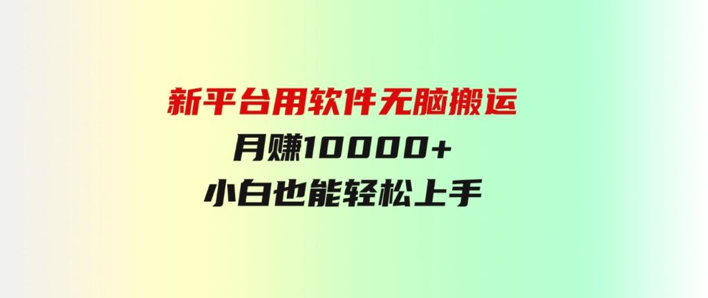 （9745期）新平台用软件无脑搬运，月赚10000+，小白也能轻松上手-十一网创