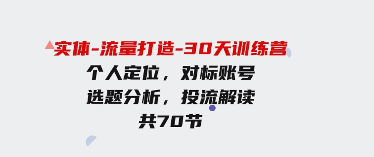 （9782期）实体-流量打造-30天训练营：个人定位，对标账号，选题分析，投流解读-70节-十一网创