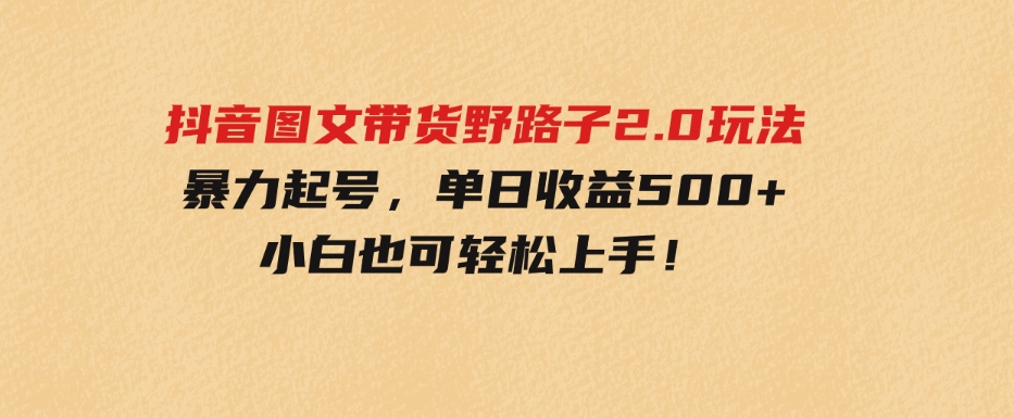 （9790期）抖音图文带货野路子2.0玩法，暴力起号，单日收益500+，小白也可轻松上手！-十一网创