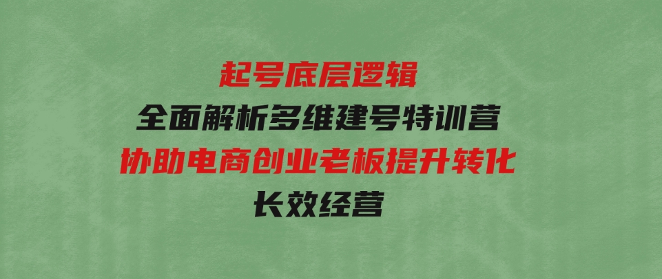 起号底层逻辑，全面解析多维建号特训营，协助电商创业老板提升转化，长效经营-十一网创