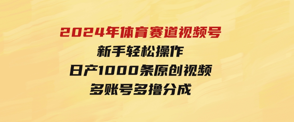 （9810期）2024年体育赛道视频号，新手轻松操作，日产1000条原创视频,多账号多撸分成-十一网创