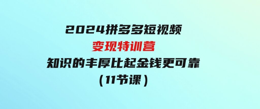 2024拼多多短视频变现特训营，知识的丰厚比起金钱更可靠（11节课）-十一网创