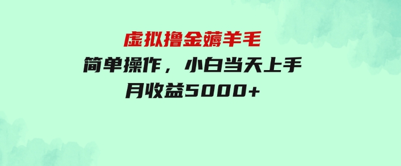 虚拟撸金薅羊毛，简单操作，小白当天上手，月收益5000+-十一网创