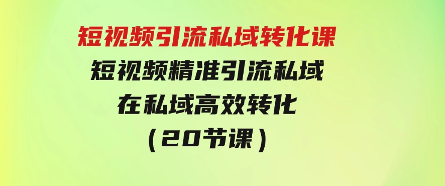 短视频引流私域转化课，短视频精准引流私域，在私域高效转化（20节课）-十一网创