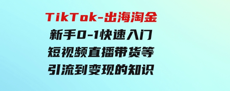 TikTok-出海淘金，新手0-1快速入门短视频直播带货等引流到变现的知识-十一网创