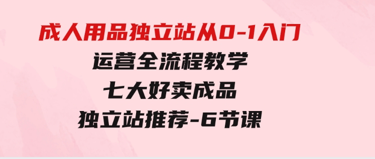 成人用品独立站从0-1入门，运营全流程教学，七大好卖成品独立站推荐-6节课-十一网创