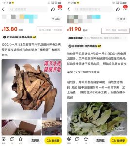 0成本靠卖树叶赚钱，1单20块，单日300+-十一网创